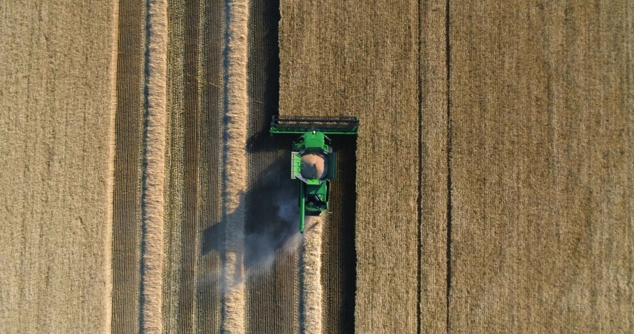 Combine harvester harvests wheat field aerial view. Harvesting from a wheat field drone view. Wheat field harvesting. Flight over the wheat field. High quality 4k footage Royalty-Free Stock Footage #1097255381