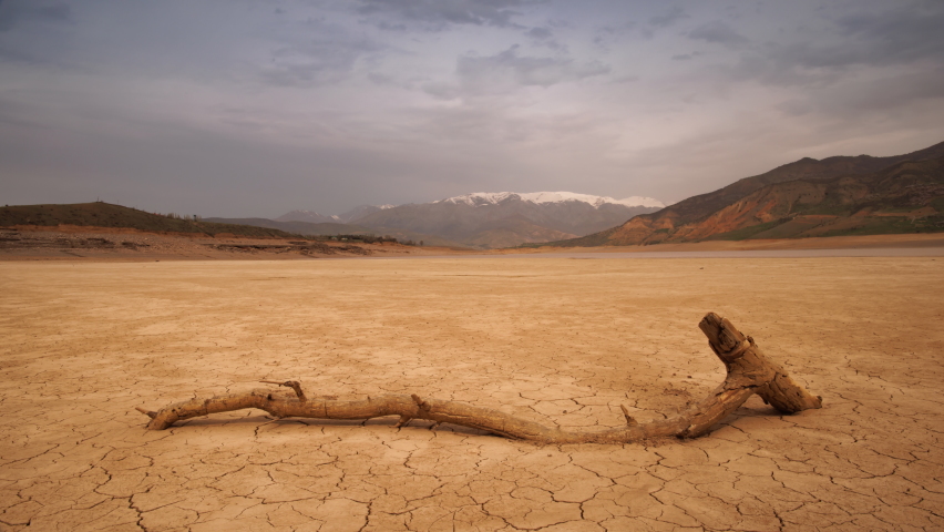 Dried tree trunk on cracked landscape Timelapse, lack of freshwater global warming climate change concept, Cracked soil in a desert dry land , ecological issues, water crisis, increased temperatures | Shutterstock HD Video #1097257337