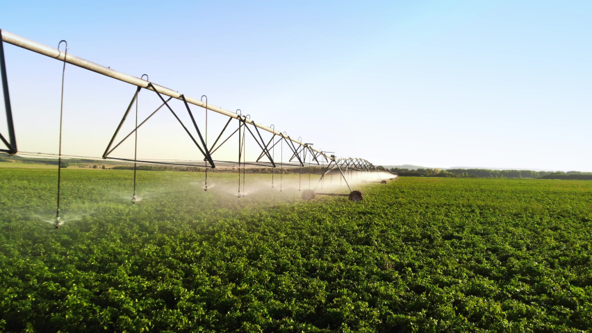 Aerial view pivot at work in potato field, watering crop for more growth. Center pivot system irrigation. Watering crop in field at farm. Modern irrigation system for land and vegetables growing on it Royalty-Free Stock Footage #1097268775