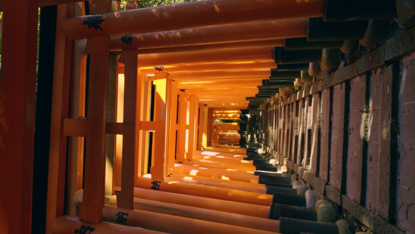 Dramatic view of walking in red gates "Torii", Fushimi Inari Shinto shrine in Kyoto in Japan, Vertical video for smartphone footage, Slow motion, Chinese character in this video means "dedication". Royalty-Free Stock Footage #1097284947