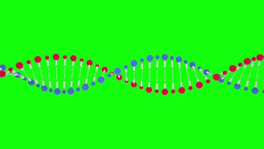 DNA 3D animation Green screen Chroma key. Rotating DNA double helix. Science and medicine concepts. Seamless loopable background. Royalty-Free Stock Footage #1097289351
