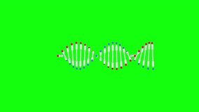 DNA 3D animation Green screen Chroma key. Rotating DNA double helix. Science and medicine concepts. Seamless loopable background.