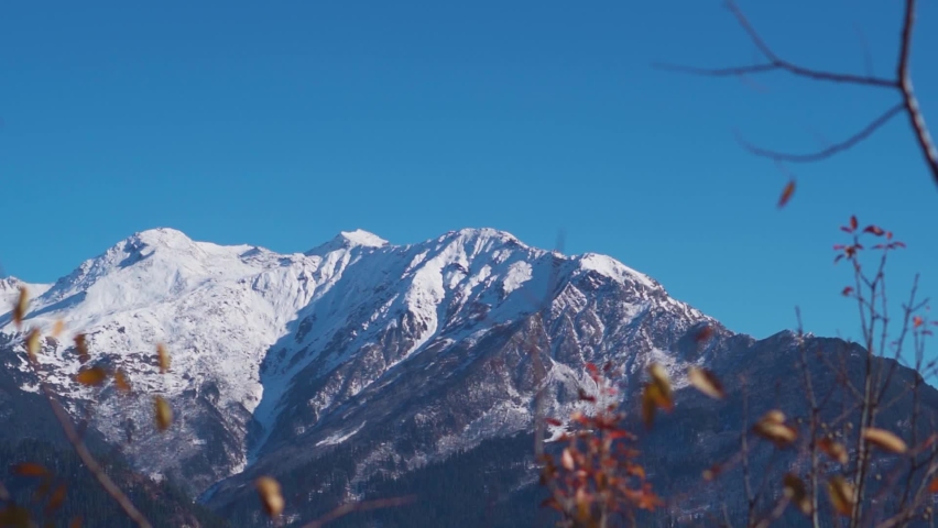 Snow covered mountains during the winter season in front of clear blue sky during the winter season at Manali in Himachal Pradesh, India. Out of focus branches of trees in front of the snowy mountain | Shutterstock HD Video #1097292565