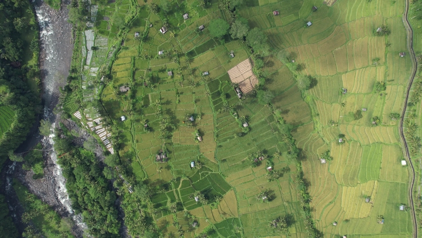 The Bali Terrace Rice Fields | Shutterstock HD Video #1097292927