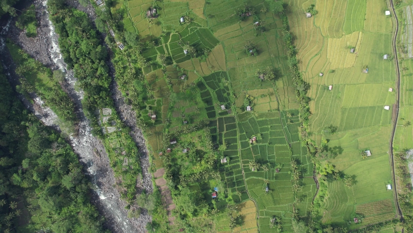 The Bali Terrace Rice Fields | Shutterstock HD Video #1097292935