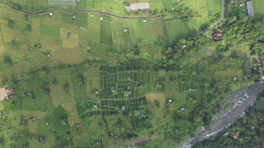 The Bali Terrace Rice Fields | Shutterstock HD Video #1097292947