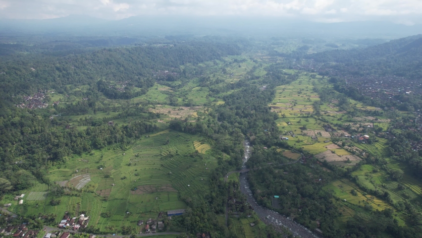 The Bali Terrace Rice Fields | Shutterstock HD Video #1097292953
