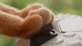 A cute fluffy ginger cat paw playing video game using joystick gamepad. Close-up gamer using gamepad against green background. Fun humorous gaming with console for red kitty. Cybersport.