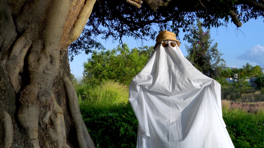 Happy Halloween. happy ghost dancing with a tree behind, in the sunset, very little scary. Lovely ghost mexico latin america | Shutterstock HD Video #1097297527