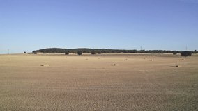 video on a newly harvested wheat plantation
