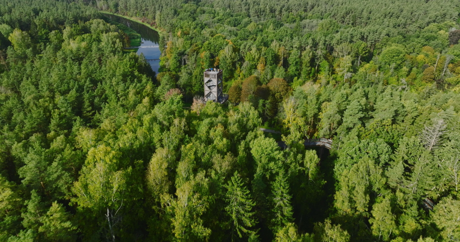 Beautiful drone view flying through treetop walkway tower with people on it between green woods located in Anyksciai, Lithuania, eastern Europe. High quality footage.