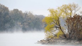 Autumn mist rises from the water of a beautiful scenic lake in Tennessee. Yellow leafed tree in fall color on the shoreline gently sways in the fall breeze in southern North America. 4K HD video