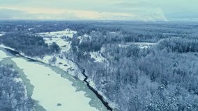 Aerial view on the river and forest at the winter time. Natural winter landscape from air.Aerial drone shot.