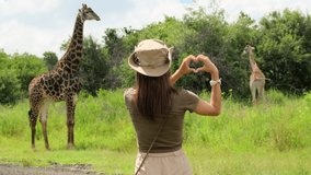 woman traveler in discovery clothes shows heart with hands to giraffe in savannah. a girl in a sun hat and travel clothes against the background of an adult giraffe in a savannah. people on safari - Powered by Shutterstock - Get 15% off with code: PIKWIZARD15