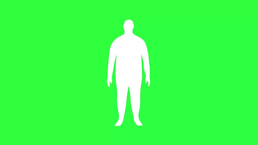 Water Rate In The Human Body Animation on chroma key green screen background. Man Silhouettes Filled With Water. Healthcare Concept. 4K Royalty-Free Stock Footage #1097322177