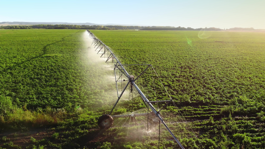 Aerial view pivot at work in potato field, watering crop for more growth. Center pivot system irrigation. Watering crop in field at farm. Modern irrigation system for land and vegetables growing on it Royalty-Free Stock Footage #1097322875