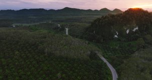 Nature video aerial view landscape sunrise over landscape mountain and forest.