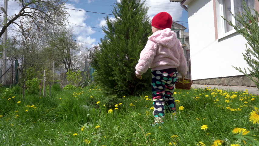 A little girl walks with a basket in the spring,a funny child walks on the grass in the spring | Shutterstock HD Video #1097330821