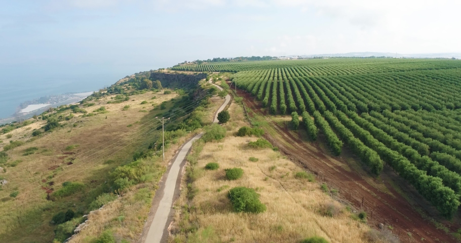 Aerial View of a lake and mountain side, Sea of Galilee, Israel.