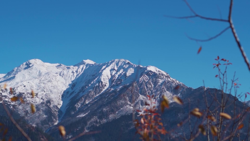 Snow covered mountains during the winter season in front of clear blue sky during the winter season at Manali in Himachal Pradesh, India. Out of focus branches of trees in front of the snowy mountain | Shutterstock HD Video #1097344025