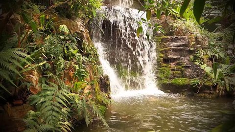 Deep Forest Waterfall. The water cascades off the rocky cliff face into a pool , creating a small pond surrounded by rich greenery from the rainforest habitat. Filmed late in the afternoon, loops.