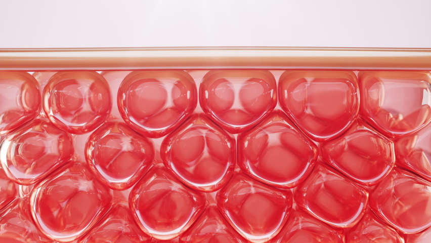 Animation skin layer up and reduce up saggy skin of the skin cell. Serum and vitamin drop to skin cells. 3d rendering. 4k resolution.