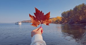 Autumn season and sea shore. Woman with autumnal tree leaf near beach and water. Travel and vacation, lifestyle and nature, 4k video