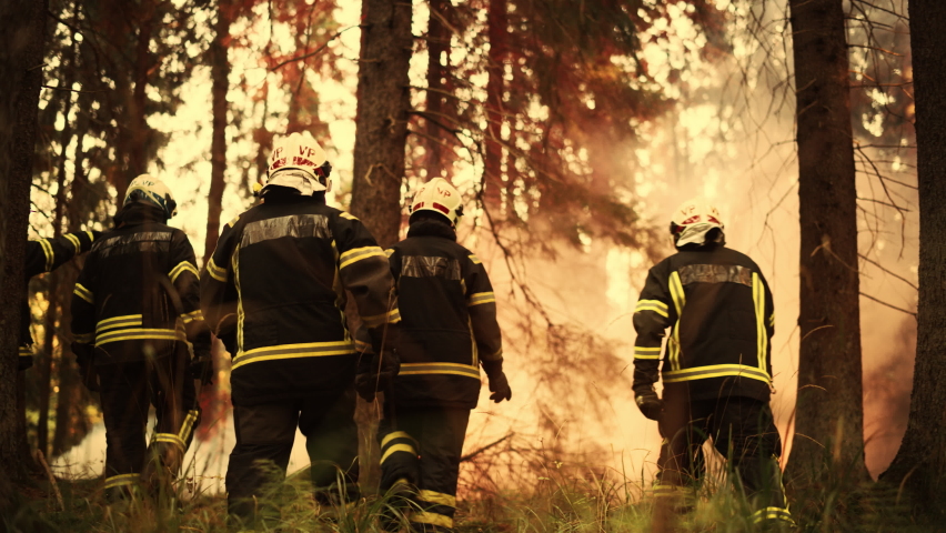 Team of Five Capable Firemen Moving Through the Forest to the Wildfire Source Deep in the Woods. Wildland Fire Concept About California, USA, South America, Canada, Spain and Other Affected Countries. Royalty-Free Stock Footage #1097382887