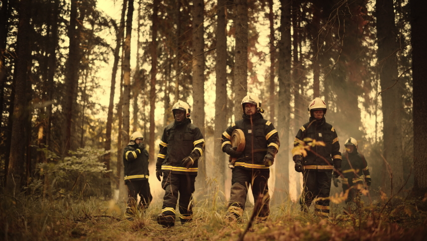 Diverse Five-Person Squad of Male and Female Firefighters Walking Deep in a Dangerous Wildland Fire Forest Area. Group Leader Giving Orders and Instructions on Where to Move to Extinguish the Fire. | Shutterstock HD Video #1097382889