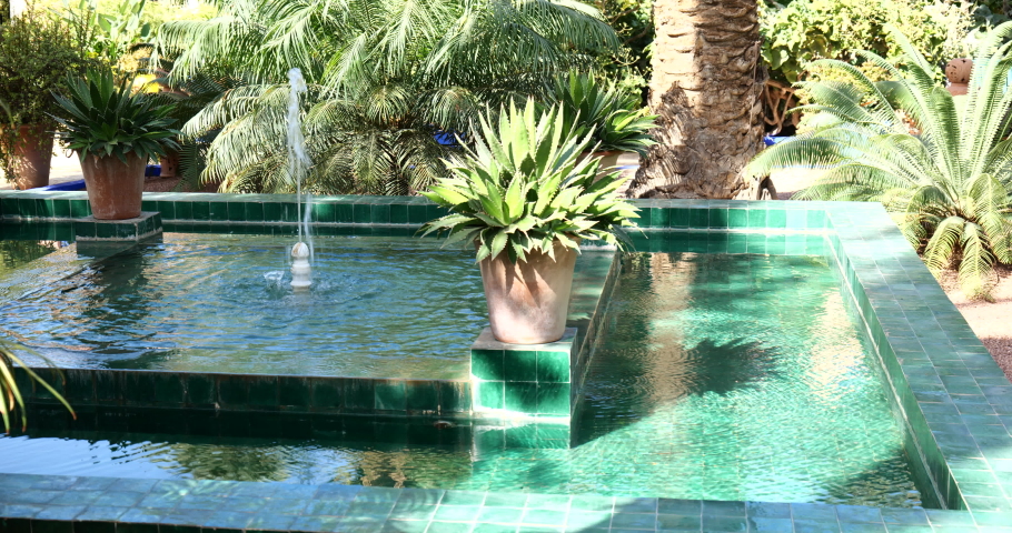beautiful cactus garden with exotic water ponds and fountains