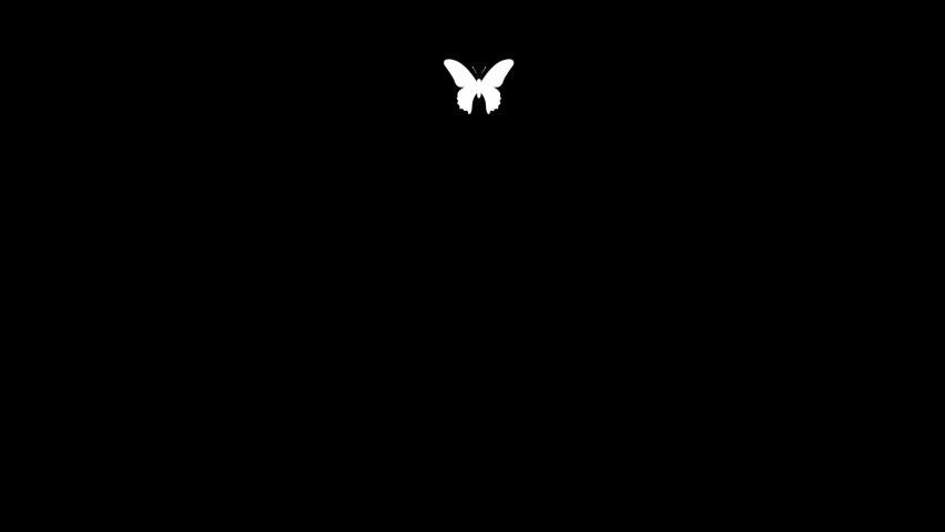 Flying butterfly animation on black background | Shutterstock HD Video #1097407873