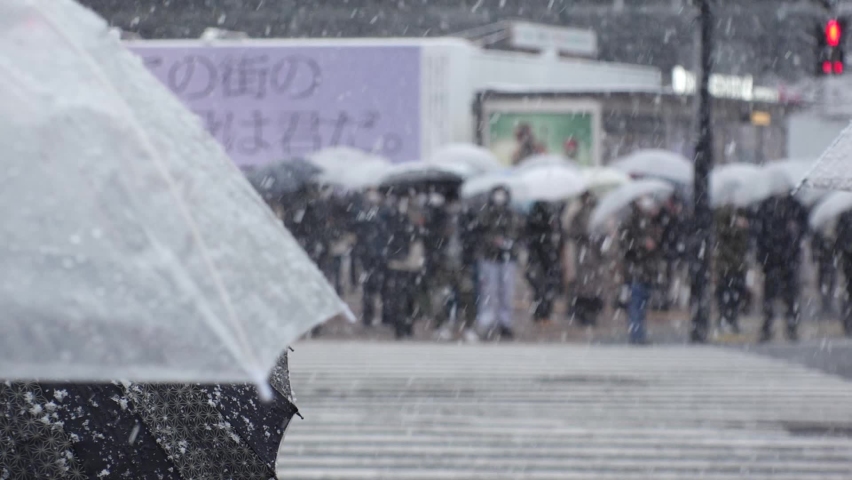 SHIBUYA, TOKYO, JAPAN - 6 JAN 2022 : View of crowd of people at Shibuya crossing in snow. People wearing mask to protect from Coronavirus (COVID-19). Japanese winter season concept. Slow motion video. | Shutterstock HD Video #1097408221
