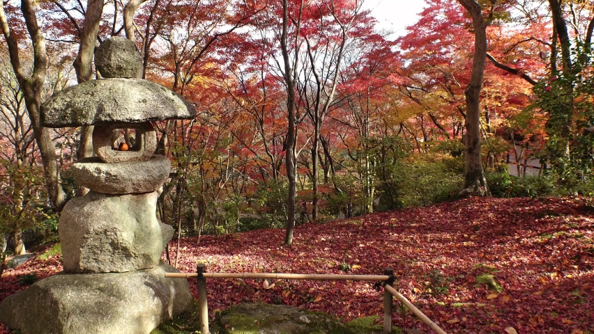 KYOTO, JAPAN - DECEMBER 2021 : Scenery of autumn leaves at Jojakkoji temple. Located at Arashiyama mountain area. Japanese nature and autumn season concept video. | Shutterstock HD Video #1097408303