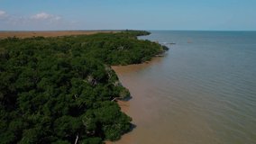 Drone flying over the treeline against the ocean. Beautiful view for stock footage. Calming water along the coastline. 
