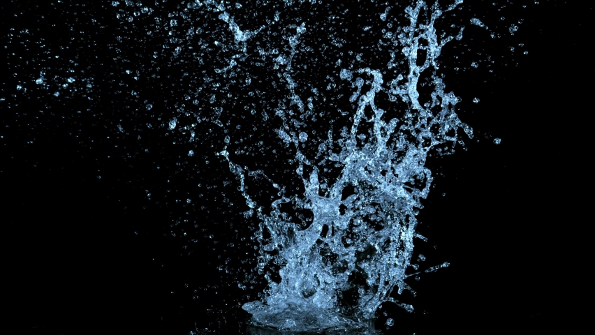 Shutterstock Video