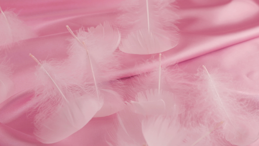 White swan feathers fall on pink silk. Slow motion. | Shutterstock HD Video #1097423979