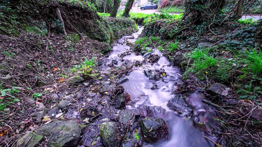 Water flows through forest, long exposure so water has smooth and silky appearance | Shutterstock HD Video #1097425281