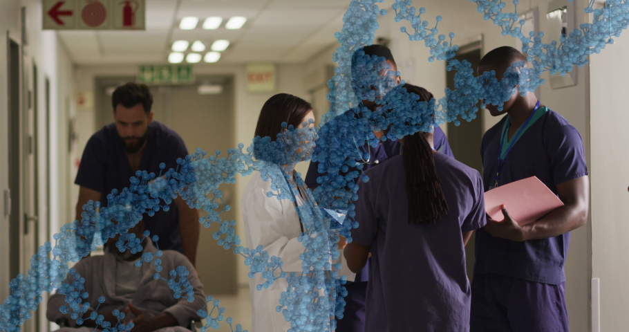 Animation of dna strand over diverse doctors at hospital. Global medicine, healthcare and digital interface concept digitally generated video. | Shutterstock HD Video #1097431879