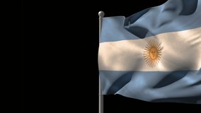 Animation of flag of argentina over fireworks on black background. New year, tradition and celebration concept digitally generated video.