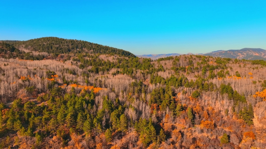 
Autumn colors in the forest of Ankara on Karagol. ( Black Lake ) in Ankara Province of Turkey