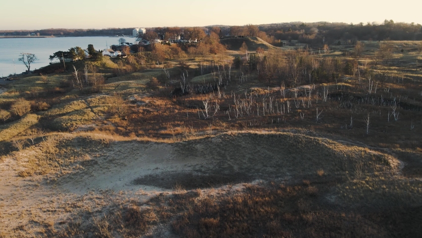 Dead trees along various sand dunes in Muskegon.