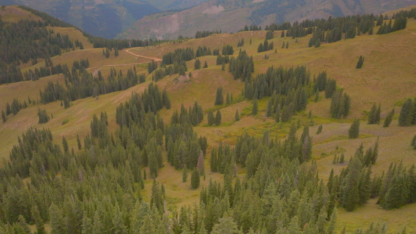 Aerial tilt and boom down towards trees in the Colorado Rocky Mountains.