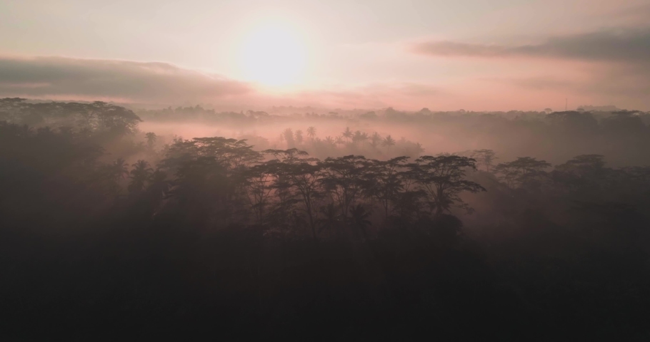 Misty morning in jungles. Beautiful sunrise and fog. Aerial view, drone footage Royalty-Free Stock Footage #1097465735