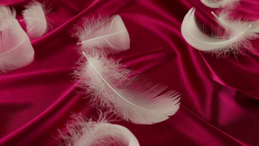 White swan feathers fall on red silk. Slow motion. | Shutterstock HD Video #1097474675