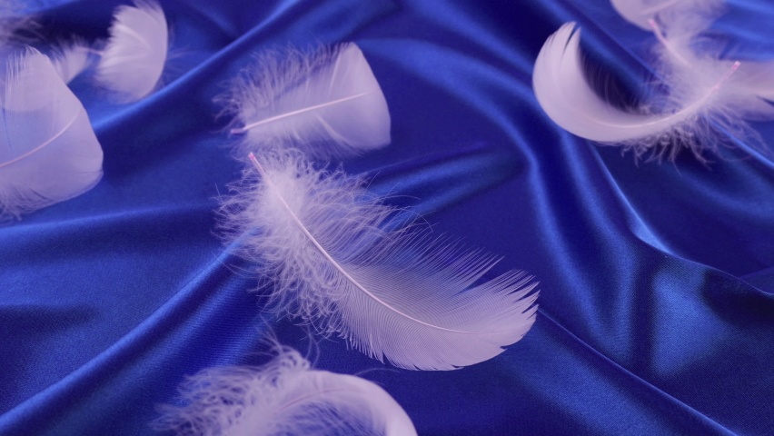 White swan feathers fall on blue silk. Slow motion. | Shutterstock HD Video #1097474687
