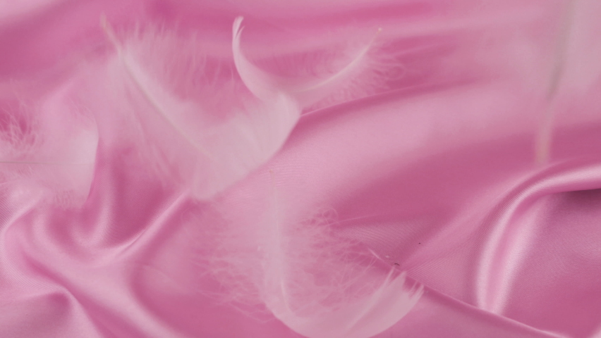 White swan feathers fall on pink silk. Slow motion. | Shutterstock HD Video #1097474701