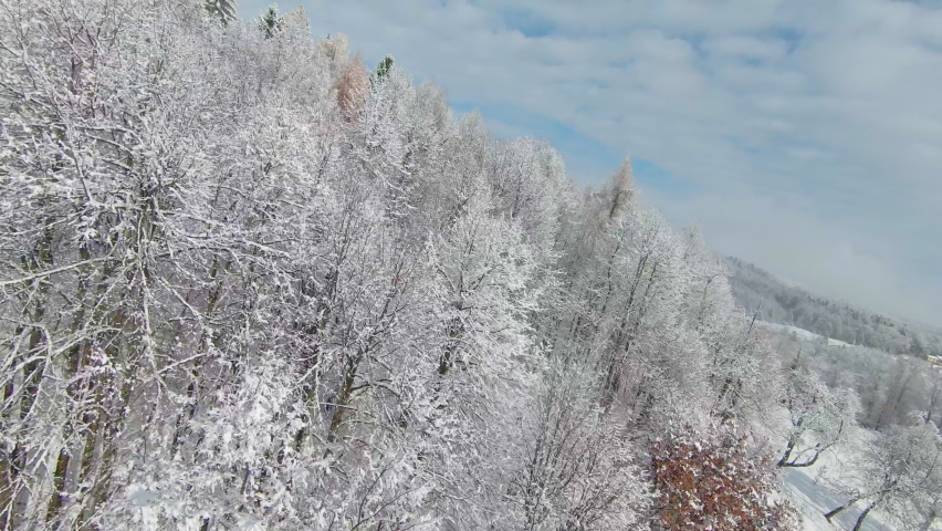 FPV DRONE: Snowy woodland area and gorgeous view over valley in late autumn snow. Beautiful view of hilly countryside covered with first snowflakes in the beginning of cold winter season in November. Royalty-Free Stock Footage #1097482379
