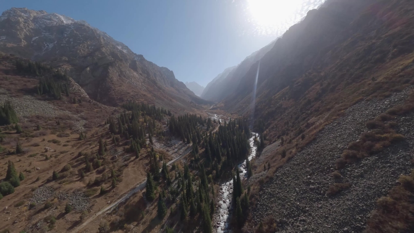 FPV sports drone dynamic speed shot under trail road between natural green fir trees at mountain gorge stone desert valley with clear blue sunny sky. Cliff rocky panorama environment exploration 4k