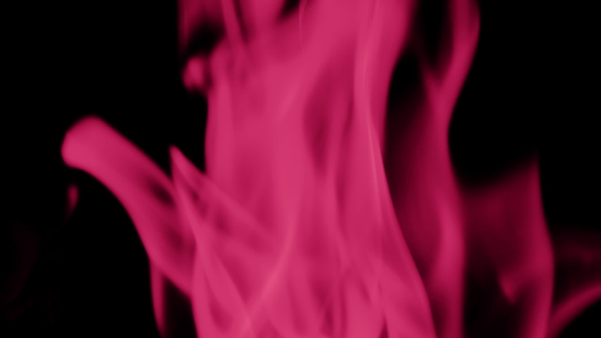 Slow-motion Full HD video of of fire flames line or flames isolated on black background toned in pink or magenta. Viva magenta - 2023 color of the year Royalty-Free Stock Footage #1097496215