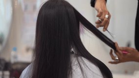 Male hairdresser cutting woman's hair
